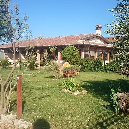 Villa La Piana Di Alsium Ladispoli Exterior foto